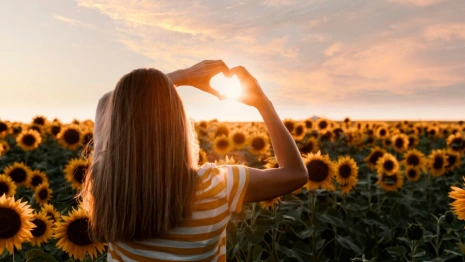 Во Владимирской области зафиксируют удаление Солнца от Земли