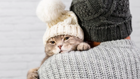 Прогноз погоды во Владимирской области на 26 октября