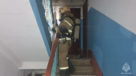 Во Владимире из горящего подъезда эвакуировали 13 взрослых и 2 детей