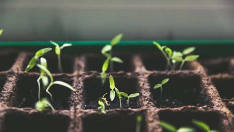 В развитие экономической зоны Доброград-1 под Ковровом вложат 1,5 млрд рублей