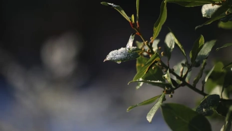 Синоптики рассказали, каким будет март в 2023 году 