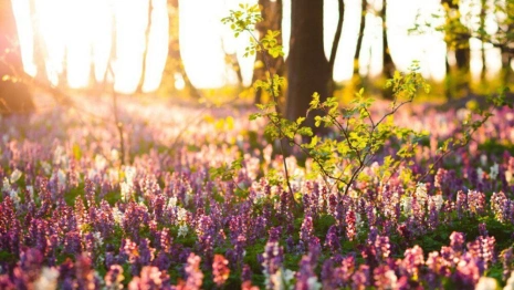 Синоптики рассказали о погоде в последний день лета во Владимирской области