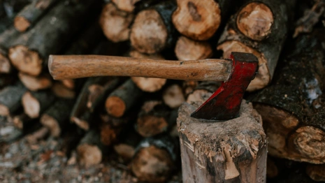 Зарубивший дедушку топором житель Владимирской области ответит в суде