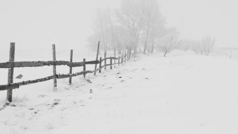 Прогноз погоды во Владимирской области на 27 февраля 