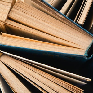 Из Владимира в новые регионы России отправят книги на русском языке
