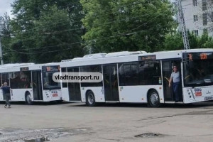 Во Владимире приехали новые автобусы МАЗ