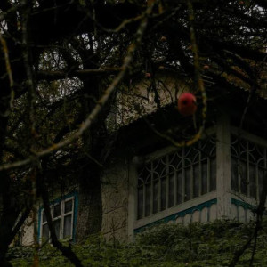 Во Владимирской области нашли 309 заброшек