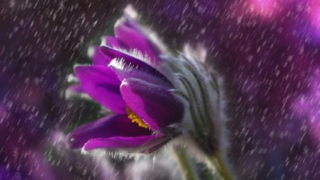 Во Владимирской области погода резко изменится с 15 марта