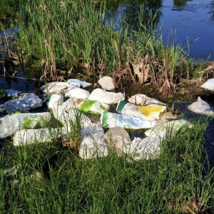 В деревне под Киржачом неизвестный выбросил в водоем 100 трупов уток в мешках