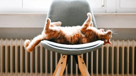 В квартиры владимирцев начали давать отопление