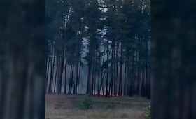 Во Владимире в Загородном парке загорелась трава