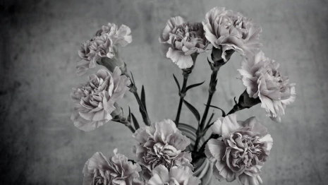 Пропавшего в ноябре 33-летнего мужчину из Владимирской области нашли мертвым