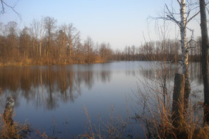 Прогноз погоды во Владимирской области на 14 ноября 2024 года