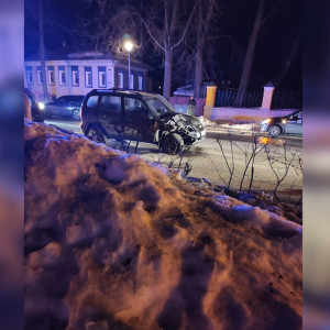 Во Владимирской области внедорожник врезался в повозку с туристами