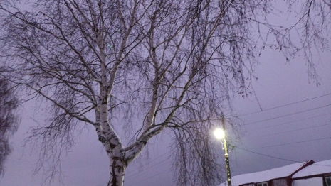 Прогноз погоды во Владимирской области на 8 февраля 2025 года