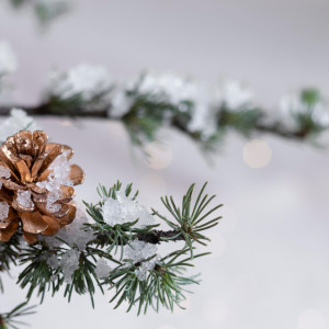 Прогноз погоды во Владимире и области на 9 декабря