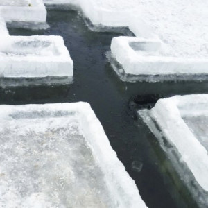 Во Владимире на Крещение в проруби окунулись 700 человек