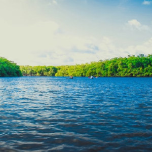 Утонувшим на озере под Ковровом оказался 17-летний парень