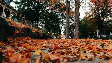Новая рабочая неделя во Владимире начнется с ясной и солнечной погоды