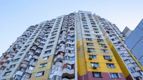 Во Владимирской области выбрали самый большой «человейник»