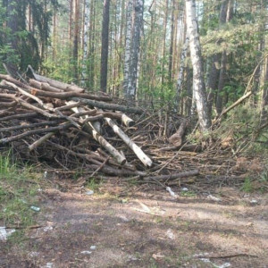В лесу вблизи Мостостроя во Владимире устроили крупную свалку