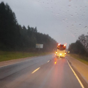 Спасатели рассказали о поисках мужчины в лесу под Ковровом