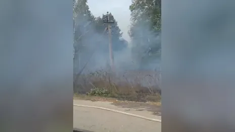 Во Владимирской области около поселка Улыбышево лес загорелся в двух местах