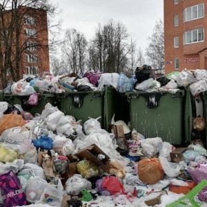 В Кольчугино 30 мусорных площадок оказались завалены отходами