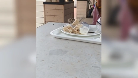 Владимирцы возмутились грязью на рынке на Студеной