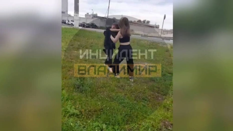 В Судогде школьницу поставили на учет в ПДН после избиения девочки на камеру