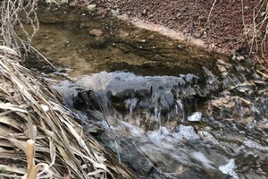 В Муроме в Оку сливали яды с заводов и канализационные воды