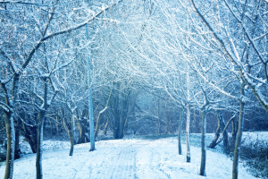 Во Владимирскую область на выходные вернутся морозы