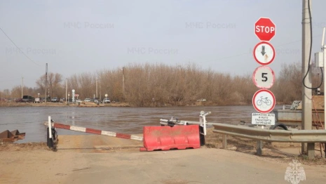МЧС спрогнозировало подтопление еще 107 участков и 3 домов во Владимирской области