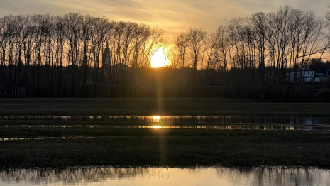 Во Владимирскую область вернется 14-градусное тепло
