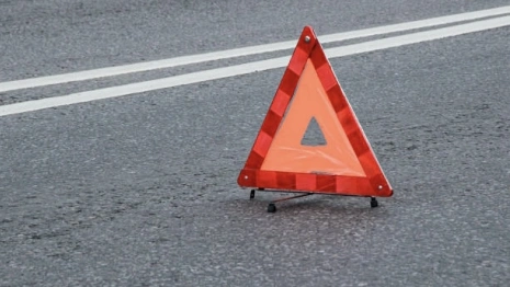 В Петушках автомобилистка без прав влетела в дерево