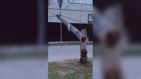 Деревня в Селивановском районе осталась без связи и Интернета из-за упавшего столба