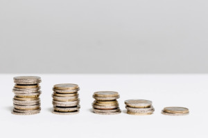 Жителя Москвы осудили за продажу владимирцу сувенирных копий монет под видом золота