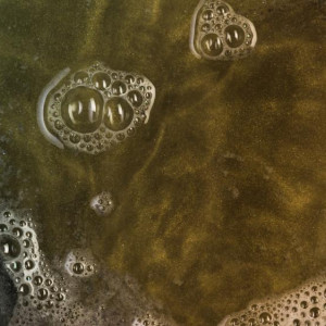 Жительница Юрьев-Польского попала под следствие за загрязнение водоема сточными водами