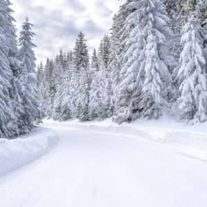 В ноябре во Владимирской области потерялись шестеро детей