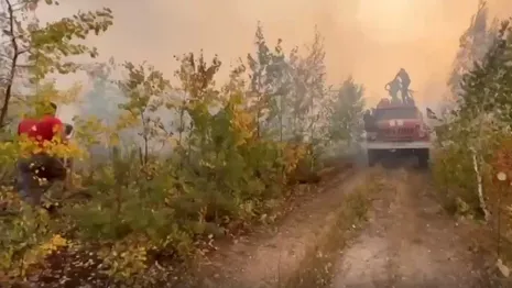 Во Владимирской области заявили об угрозе лесных пожаров со стороны Иваново и Нижнего Новгорода