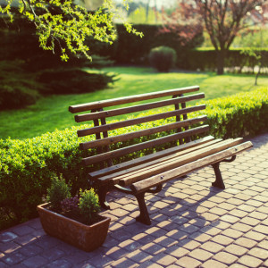 Подрядчиков предупредили о наказании за срыв благоустройства сквера и дворов во Владимире