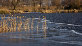 Число затопленных дворов во Владимирской области снизилось до 101