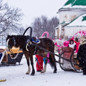 Китайская туристка покалечилась при катании на лошади во Владимирской области