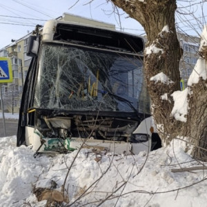 В Муроме автобус влетел в дерево: пострадали 7 человек
