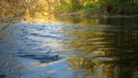 35 день Великого поста: что можно и нельзя 21 апреля 2024 года