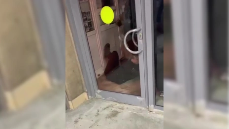 Во Владимире толпа подростков избила ребенка