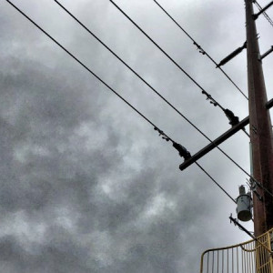 Во Владимирской области мужчина зацепился за электрические провода и погиб