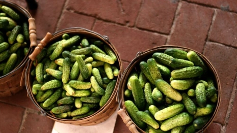 Владимирцам напомнили программу юбилейного Дня Огурца в Суздале