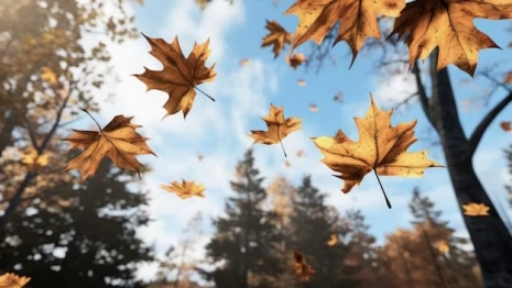 Сентябрьское тепло побило 40-летний рекорд во Владимирской области