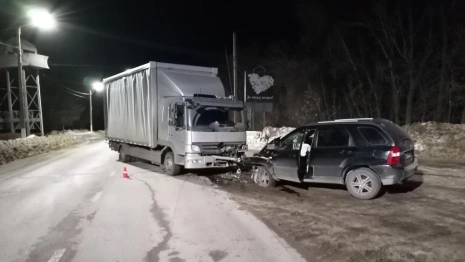 Во Владимирской области в ДТП с фурой пострадал 9-летний ребенок